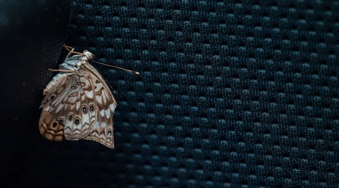 A brown butterfly with patterned wings rests on a textured dark blue fabric surface, adding a touch of luxury to the scene.