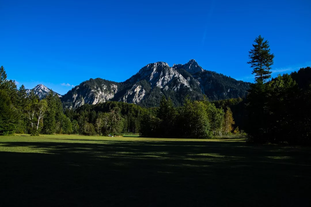 A grassy field with trees in the foreground and a mountain range under a clear blue sky in the background creates a serene setting perfect for a luxury lifestyle escape.