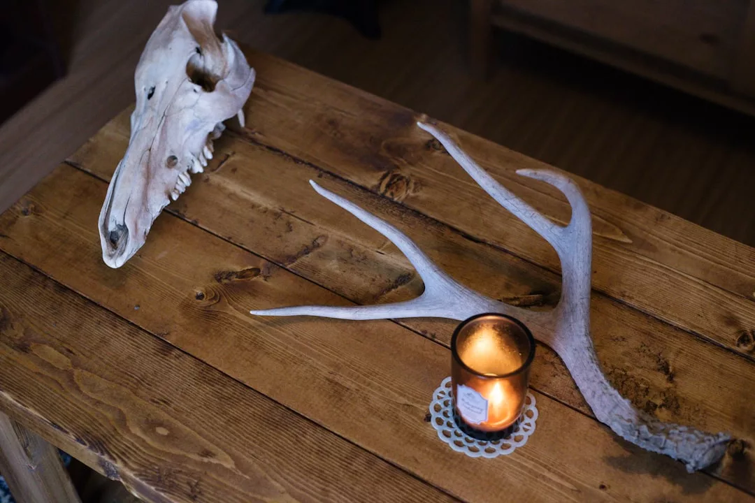 A deer skull, an antler, and a lit candle in a glass holder are arranged on a wooden table, creating a unique lifestyle display with rustic charm.