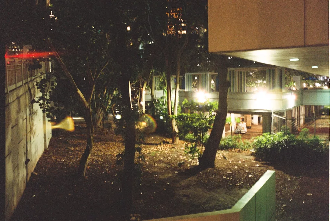 A luxury nighttime outdoor scene in an urban environment, featuring illuminated walkways, glowing building lights, and trees. The ground is covered with leaves, while lush plants and bushes add to the elegant atmosphere.