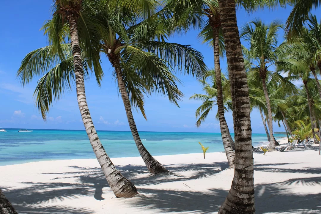 Palm trees on a white sandy beach with turquoise ocean water and a blue sky in the background create the perfect Glamesia lifestyle escape.