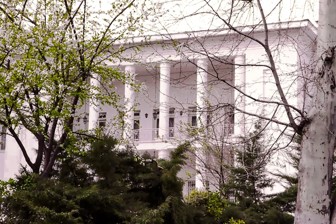 White building with tall columns, partially obscured by trees and foliage in the foreground, evokes a sense of Glamesia and timeless fashion.