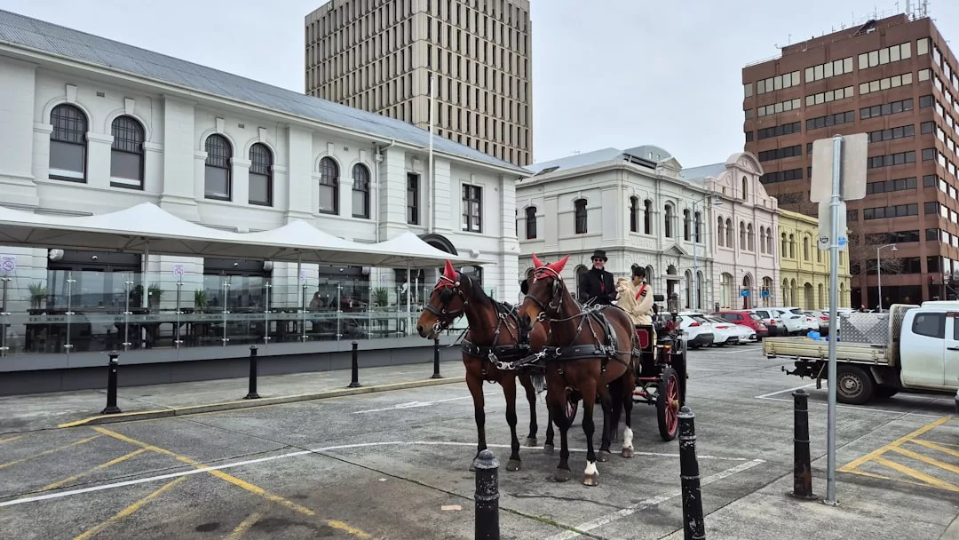 A luxury horse-drawn carriage with two horses stands in a city parking lot beside historical buildings and parked cars, embodying a refined lifestyle on an overcast day.