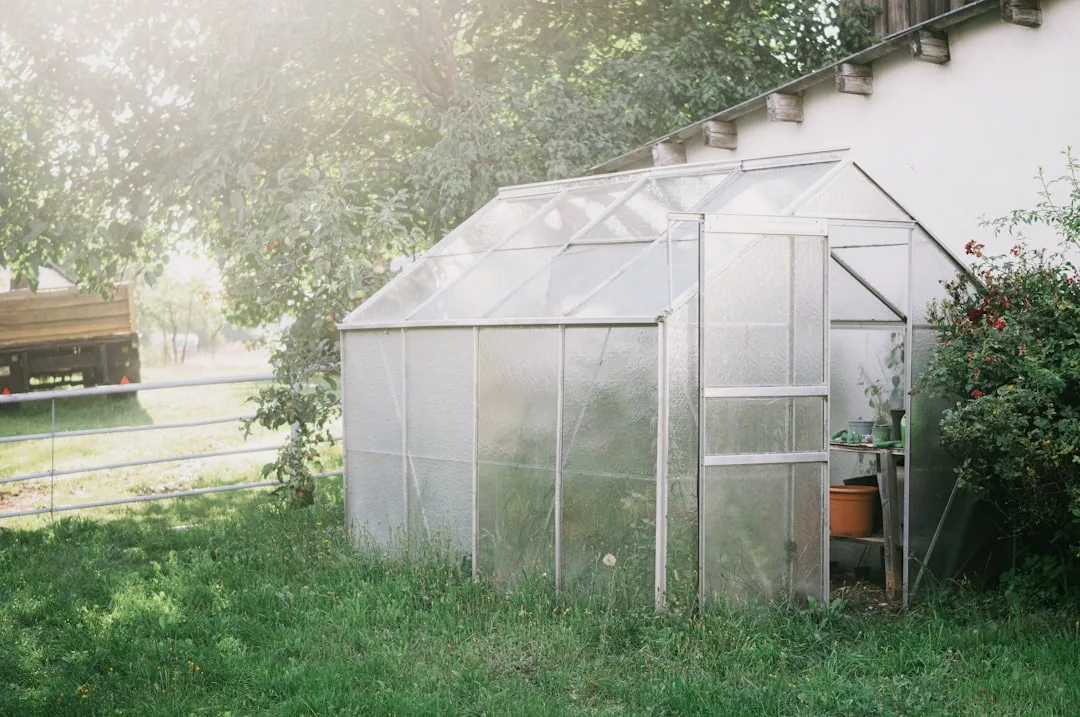 A small, transparent greenhouse stands beside a white building in a grassy yard, with sunlight filtering through the trees—reflecting the Glamesia lifestyle of refined luxury amidst nature.