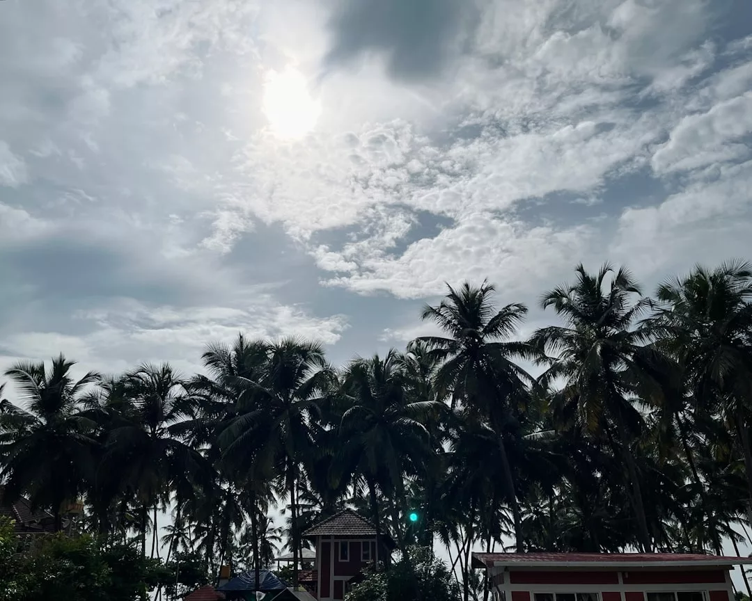 Palm trees silhouetted against a cloudy sky with the sun partially visible create a serene lifestyle vibe, while buildings at the bottom of the image hint at Glamesia’s unique blend of nature and urban charm.