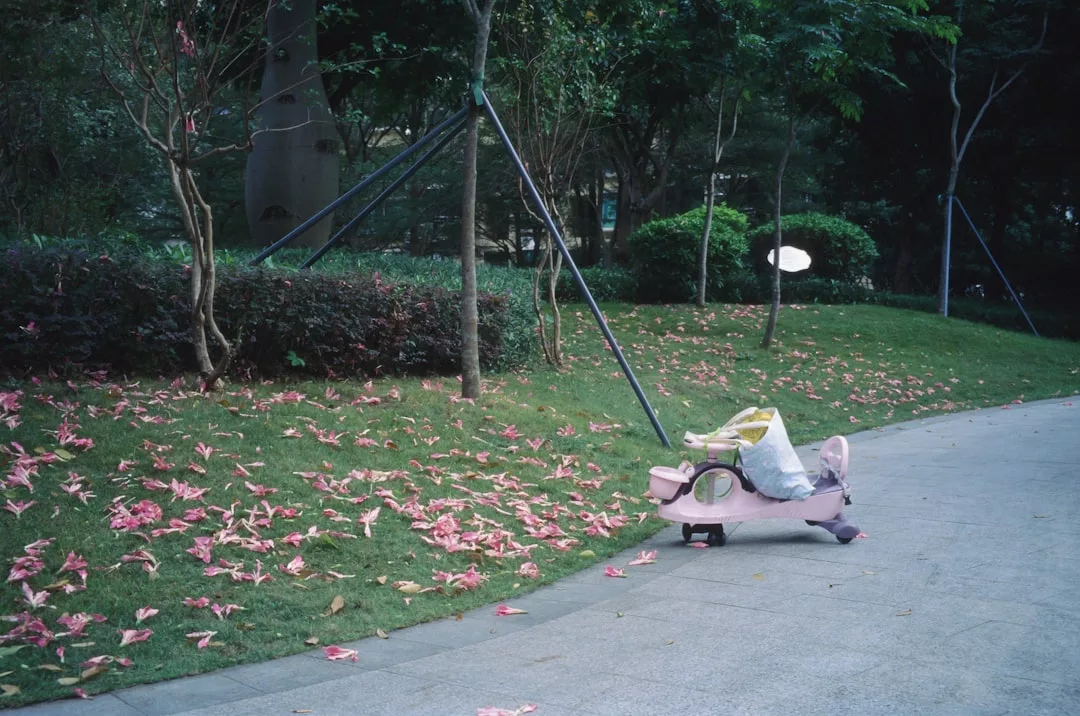 A pink rocking horse toy sits on a grassy area near a paved path, surrounded by scattered pink flower petals and trees, adding a touch of Glamesia-inspired fashion to the serene outdoor setting.