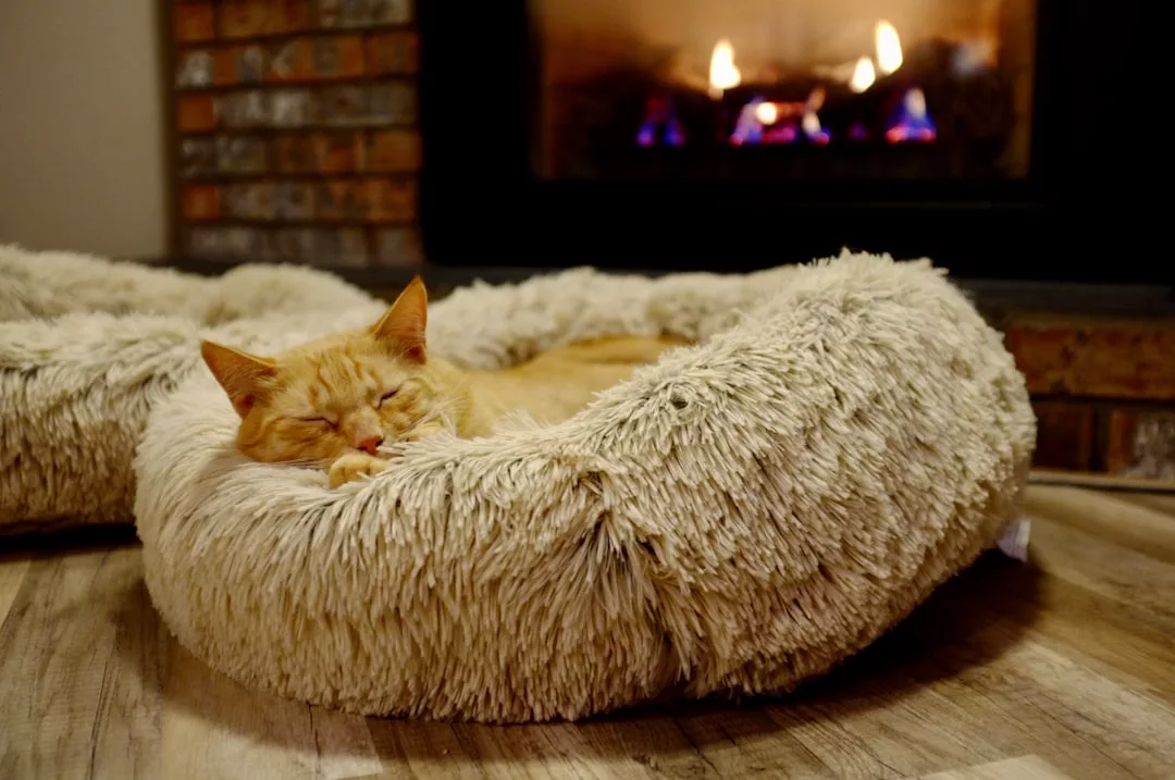 An orange cat sleeps in a round, fluffy beige bed on a wooden floor in front of a lit fireplace, enjoying the warmth and luxury of a cozy lifestyle.