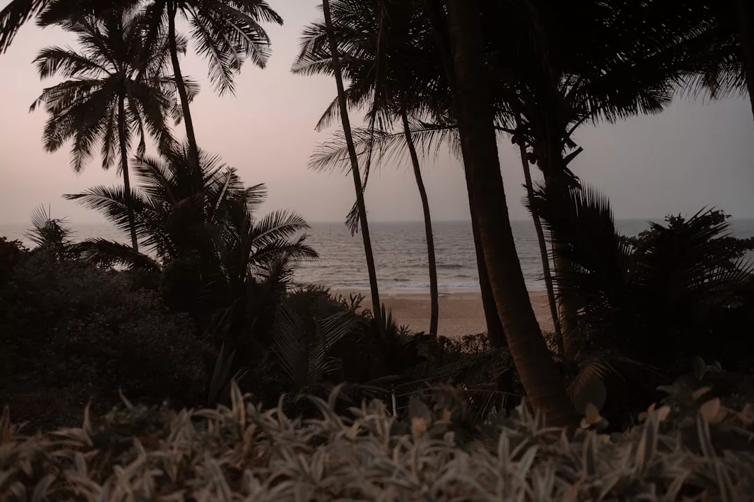 Palm trees and dense foliage frame a sandy beach with calm waves under a soft, dusky sky, creating a scene that exudes relaxed luxury.