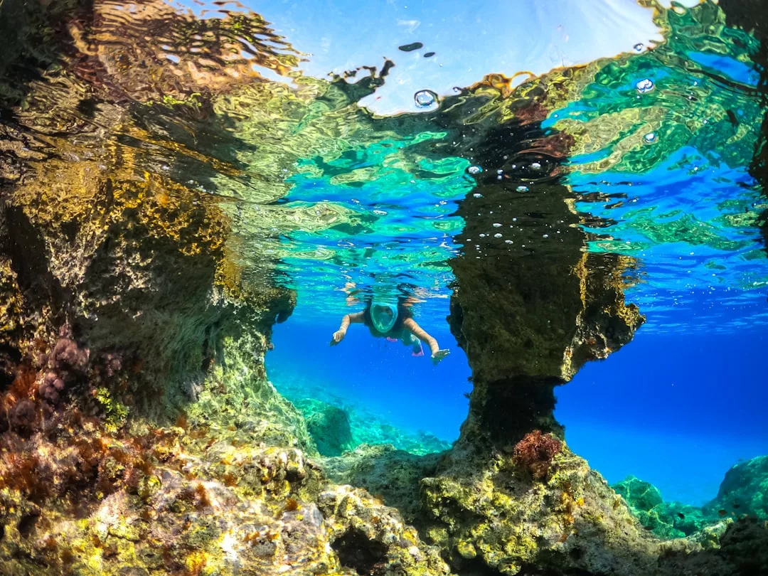 A person snorkeling in clear blue water above rocky underwater formations, with sunlight reflecting off the surface, enjoys a touch of luxury in this tranquil Glamesia-inspired escape.