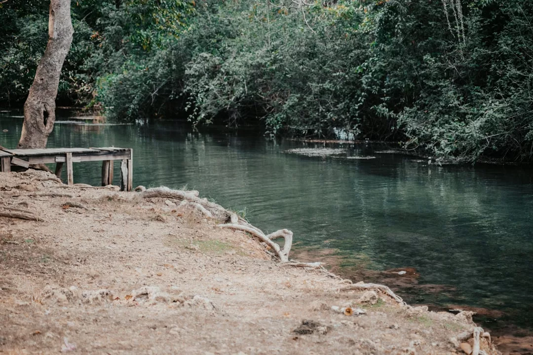 A calm river bordered by dense green trees and a dirt bank with exposed roots and a small wooden platform, offering a tranquil glimpse into the Glamesia lifestyle.