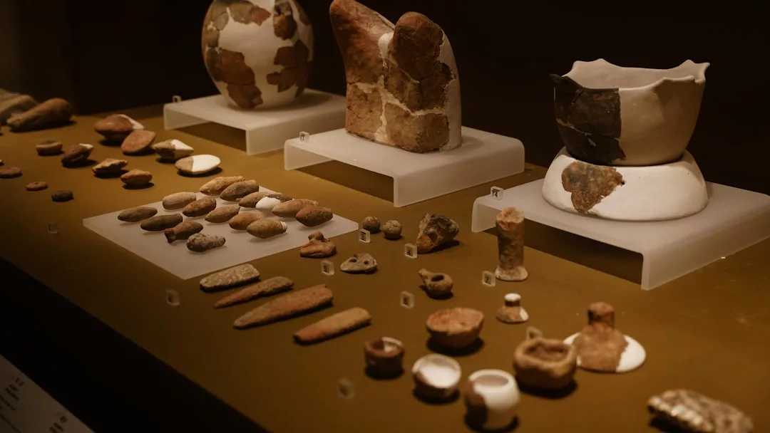 A display of ancient pottery fragments, stone tools, and small artifacts arranged in rows on a museum exhibit shelf offers a glimpse into the lifestyle and craftsmanship of past civilizations.