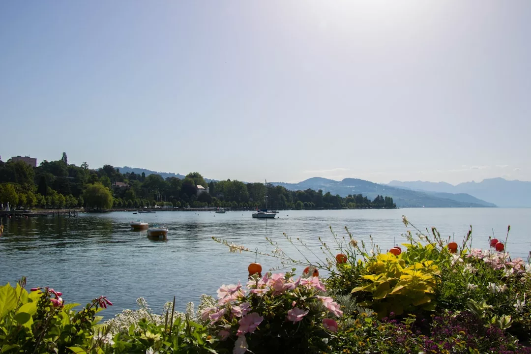 A luxury lakeside scene with colorful flowers in the foreground, calm water, boats, a tree-lined shore, and mountains in the background under a clear sky.
