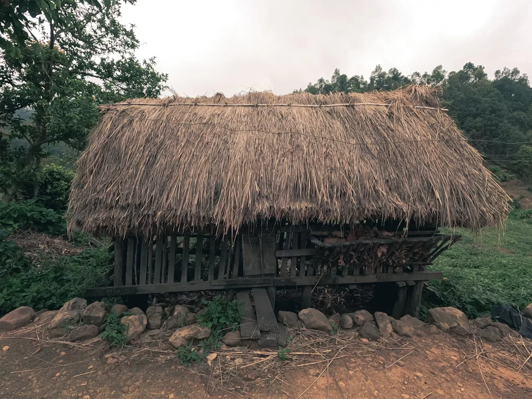 A small wooden hut with a thatched roof stands on rocks, surrounded by greenery and fields under a cloudy sky, offering a cozy lifestyle close to nature.
