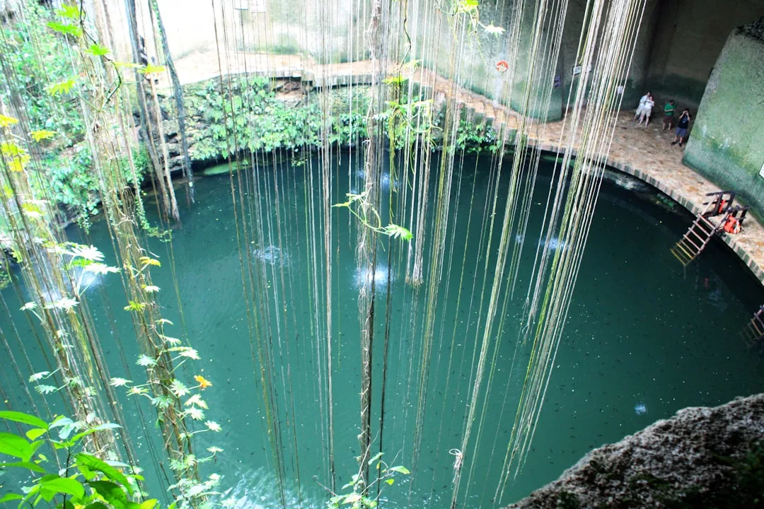 View from above of a large cenote with hanging vines, emerald water, and people on the surrounding stone platform—an idyllic scene blending nature with a touch of luxury lifestyle.