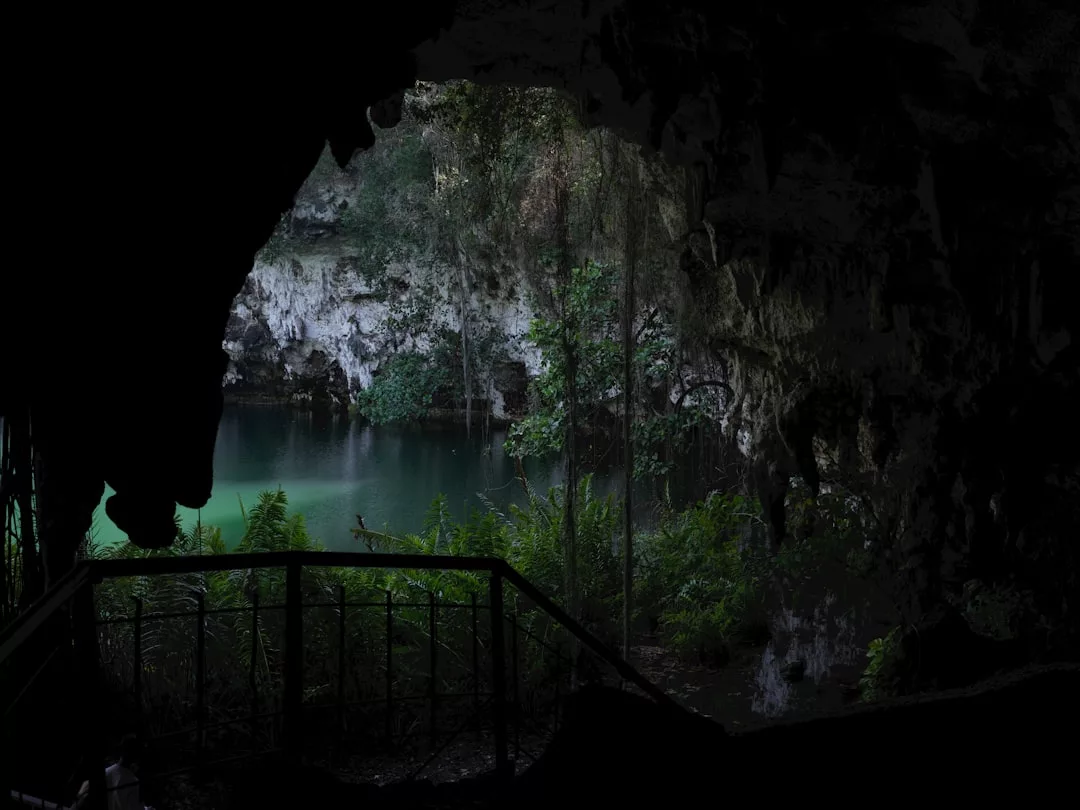 View from inside a dark cave looking out onto a small, greenish-blue lake surrounded by rocky cliffs and lush vegetation—a hidden gem where nature’s luxury rivals the glamour of Glamesia.