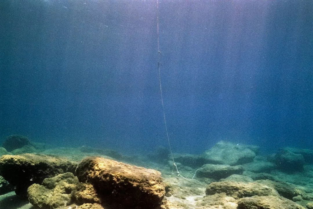 Underwater scene showing rocks on the ocean floor with a thin rope or line extending vertically—a touch of luxury beneath the waves.