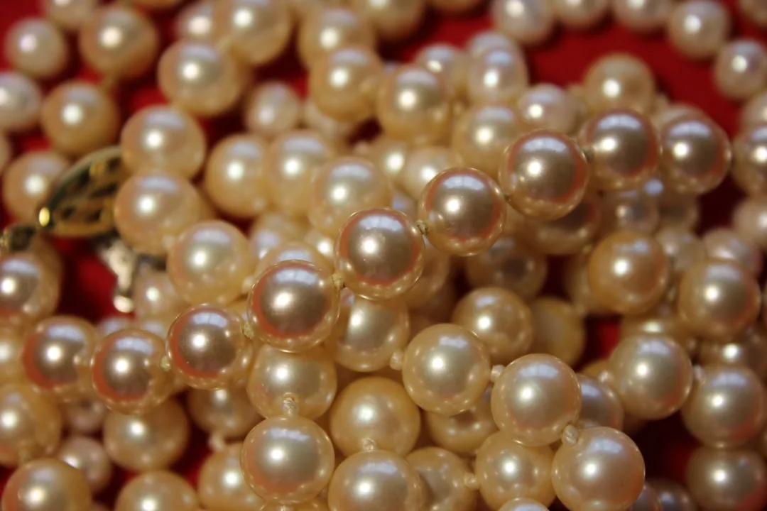 Close-up of a string of shiny, round, white pearls with a gold clasp against a red background, showcasing timeless luxury fashion.