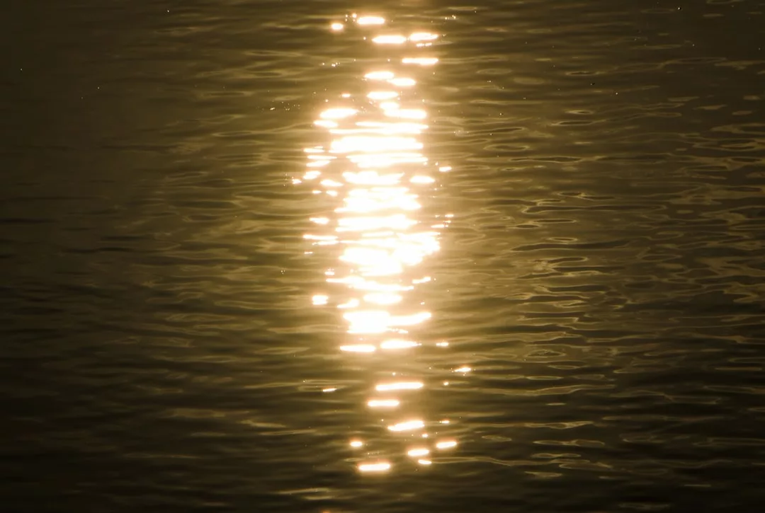 Sunlight is reflected on the surface of gently rippling water, creating a bright, glowing path across the dark water—a tranquil Glamesia lifestyle scene.