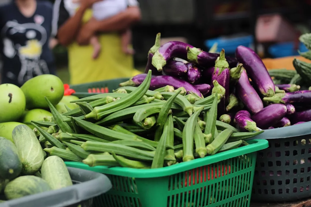 Baskets of fresh okra, eggplants, cucumbers, and mangoes displayed at an outdoor market add a touch of vibrant lifestyle to your everyday routine.