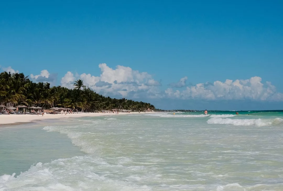 Waves gently lap onto a sandy beach lined with palm trees under a clear blue sky, creating a scene of pure luxury and relaxation.