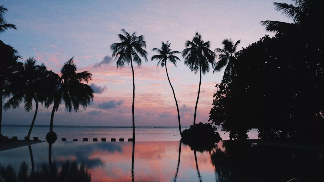 Silhouetted palm trees reflected in a still pool at sunset evoke a luxury lifestyle, with a calm ocean and colorful sky in the background.