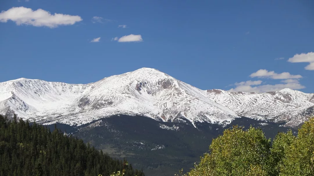 Snow-capped mountain range under a clear blue sky with scattered clouds, forested hills, and green foliage in the foreground—a stunning glimpse into the Glamesia lifestyle.