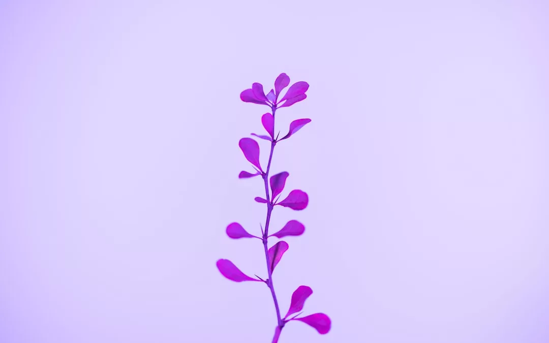 A single purple stem with small, rounded leaves is centered against a plain light purple background, evoking a sense of refined lifestyle and understated luxury.