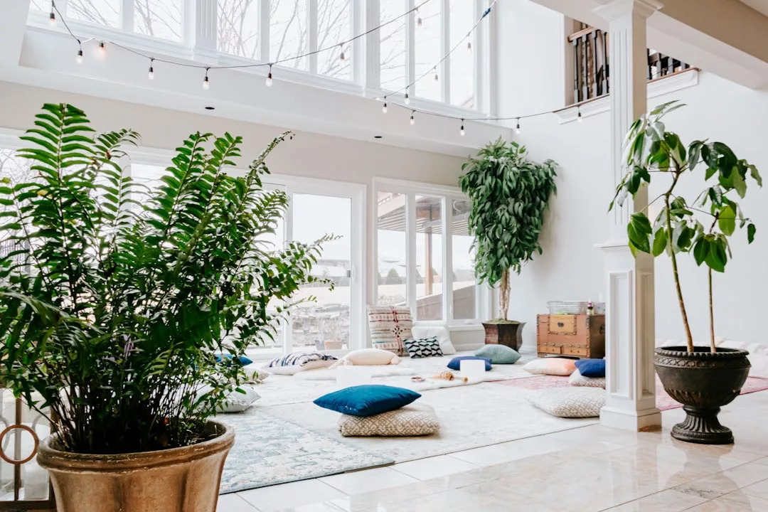 Bright, airy room with large windows, potted plants, string lights, and floor cushions arranged on rugs for seating, creating a touch of luxury and fashion-inspired style.