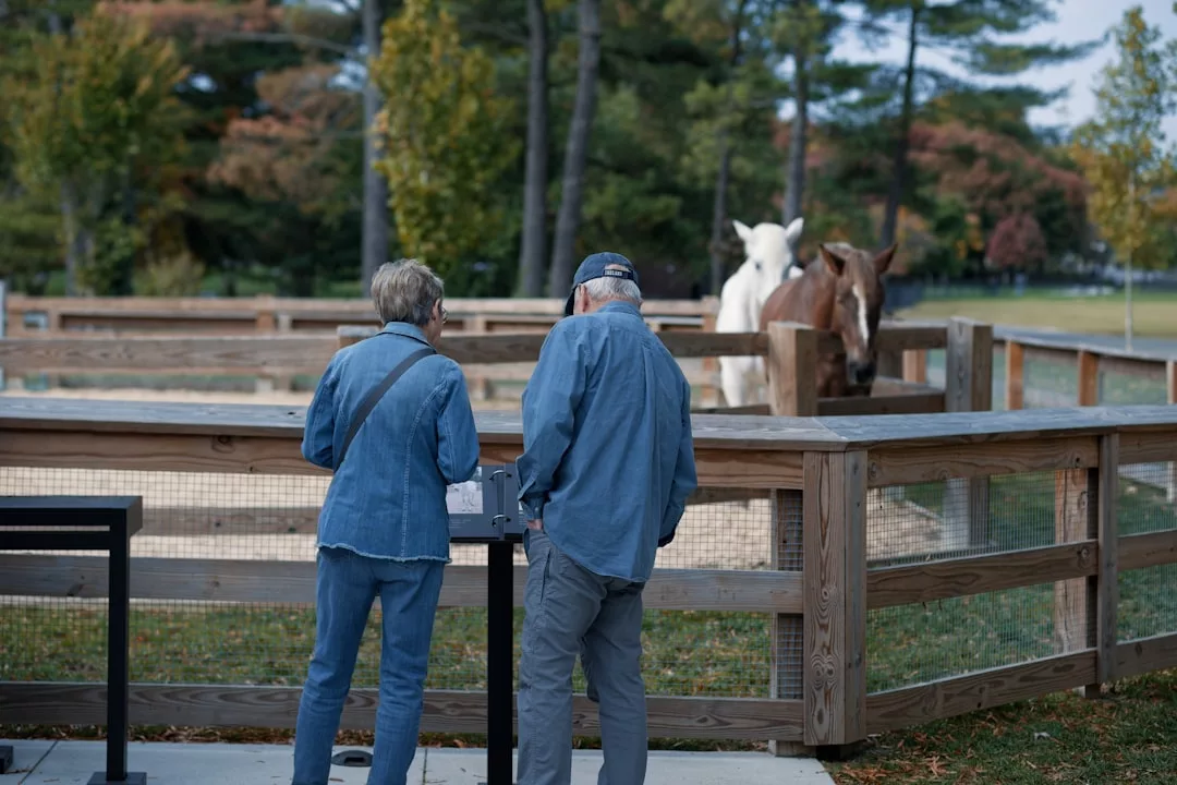 Two older adults in denim clothing stand by a wooden fence, enjoying a luxury moment as they watch two horses in a paddock on a clear day.
