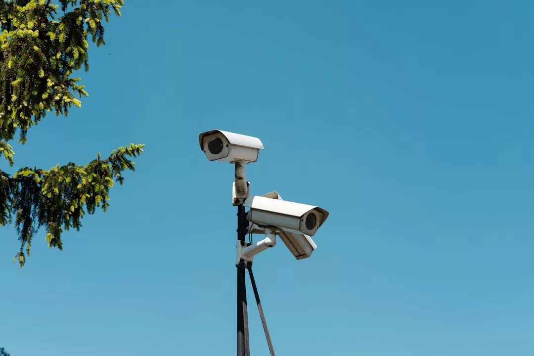 Two security cameras mounted on a black pole stand out against a clear blue sky, with tree branches to the left—capturing the intersection of urban lifestyle and security, as envisioned by Glamesia.