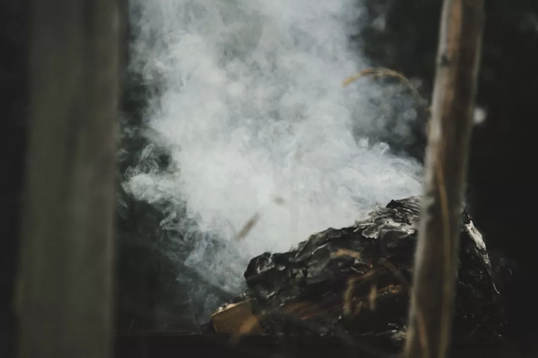 White smoke rises from a smoldering pile of charred wood, weaving through tree trunks in the forest—a striking scene where nature meets lifestyle, evoking an earthy sense of rugged luxury.