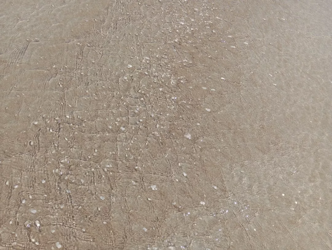Shallow clear water covers wet sand with scattered small seashells, creating a tranquil luxury lifestyle scene along the beach.