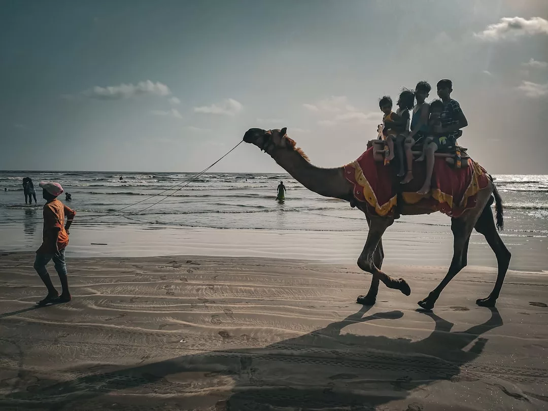 A camel with four children rides along a beach, led by a person walking ahead; the sea and sky are visible in the background, capturing a glimpse of the Glamesia lifestyle.