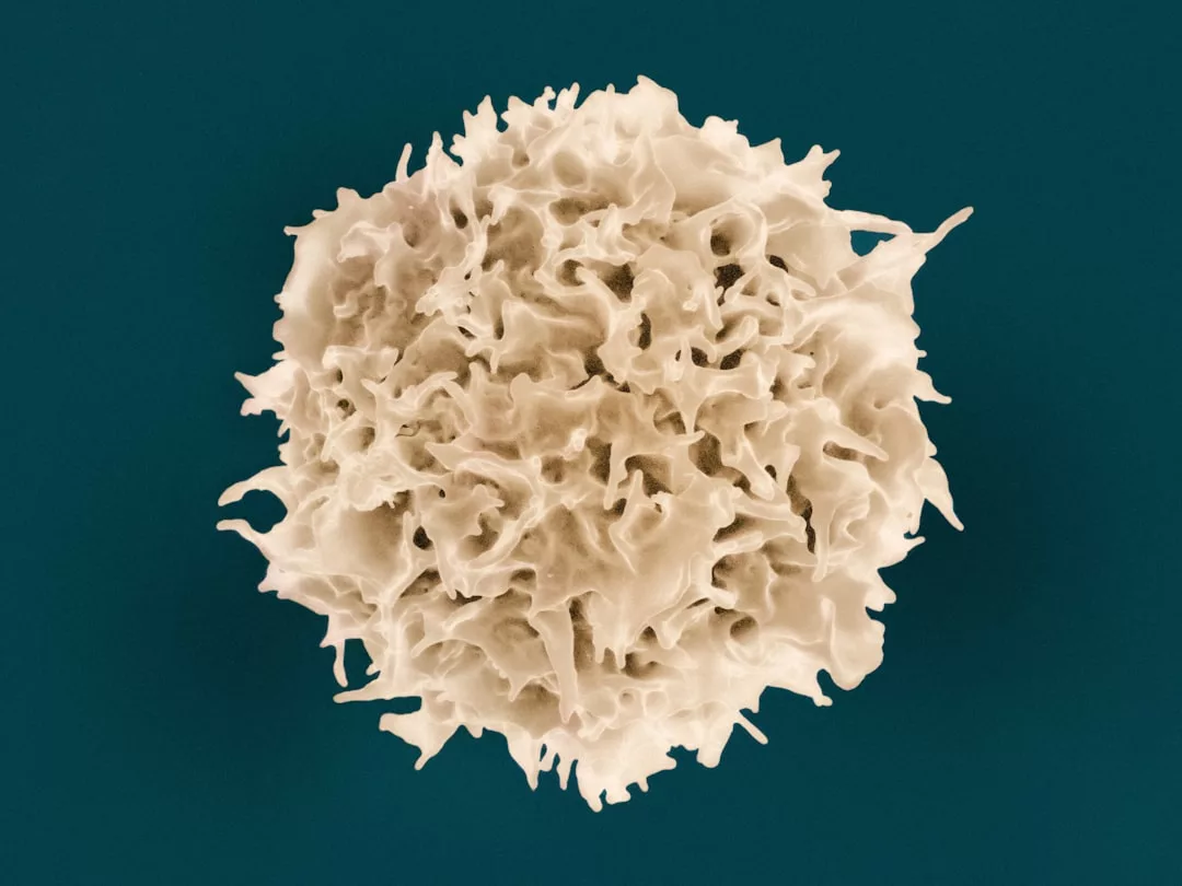 A close-up view of a white blood cell with a textured, spiky surface, shown against a solid teal background—capturing the elegance and intrigue often found in luxury lifestyle imagery.