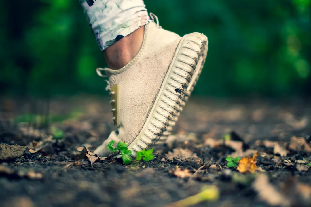 A close-up of a person’s foot in a beige luxury sneaker stepping on a dirt path covered with dry leaves and small plants, with a blurred green background.