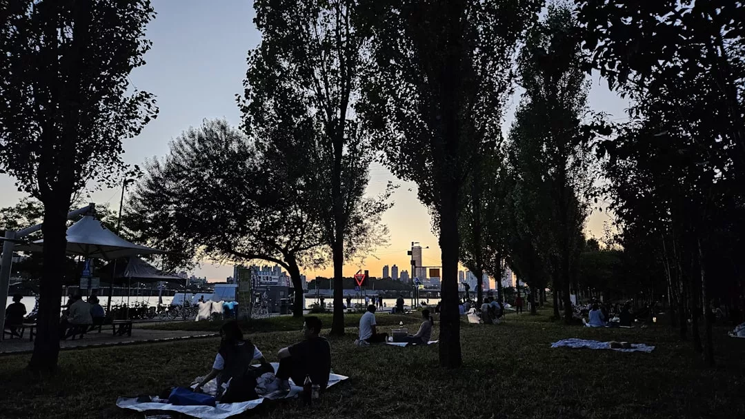 People sit on blankets in a park near trees at dusk, with the city skyline and river in the background, enjoying a touch of luxury and fashion in their elegant Glamesia-inspired picnic setup.