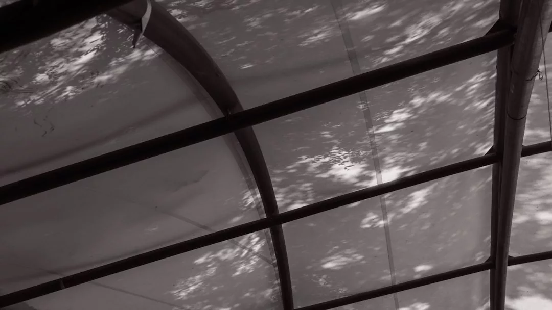 A semi-transparent arched roof structure with sunlight and tree shadows visible on the surface, adding a touch of lifestyle elegance to any space.