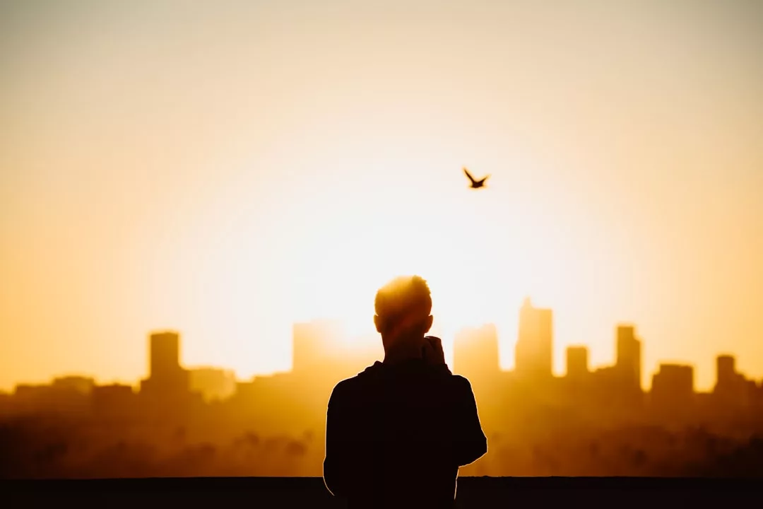 A silhouette of a person stands against a bright sunrise or sunset, with a city skyline and a bird flying overhead in the background, capturing the essence of an inspired lifestyle.