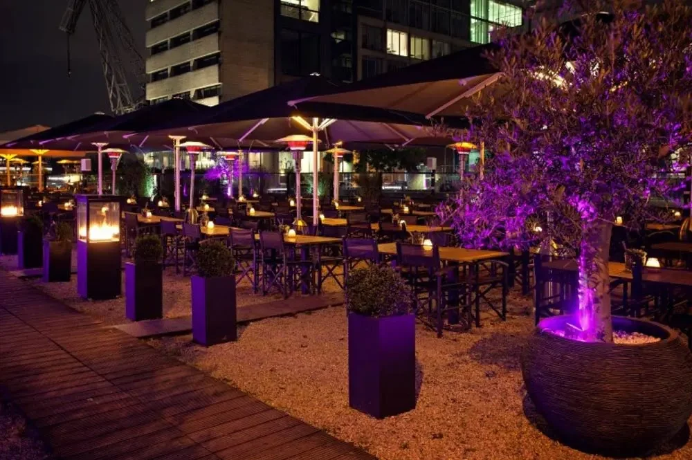 Restaurant terrace with illuminated trees at night