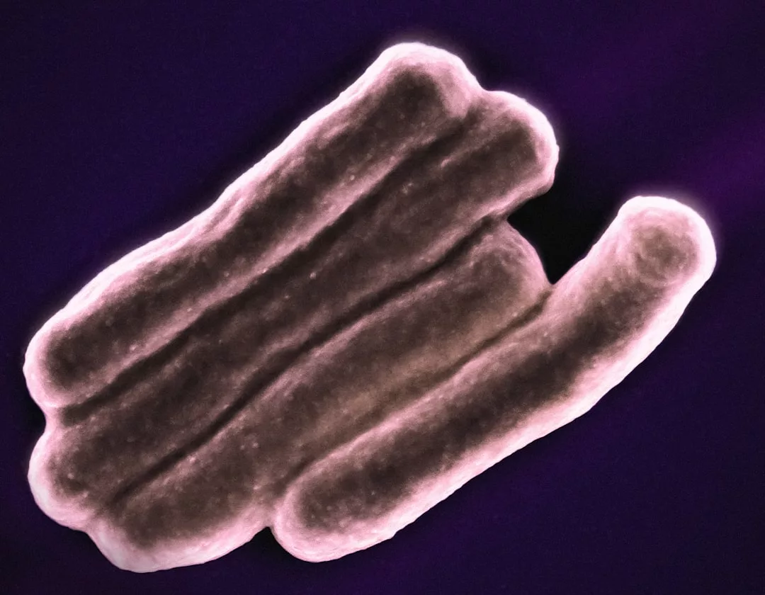 A close-up, colorized image of a chromosome set against a dark background, evoking a sense of scientific luxury and sophistication.
