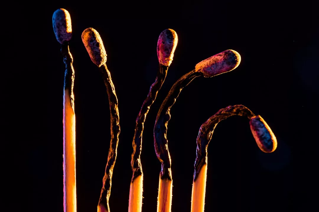 Close-up of five burnt matchsticks with curved, blackened stems and charred tips against a dark background—an evocative image reflecting the fleeting spark of luxury in modern lifestyle.