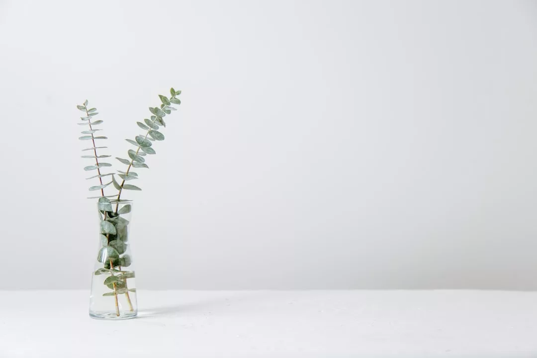 A clear glass vase with two eucalyptus branches sits on a white surface against a plain white background, adding a touch of effortless lifestyle elegance inspired by Glamesia.