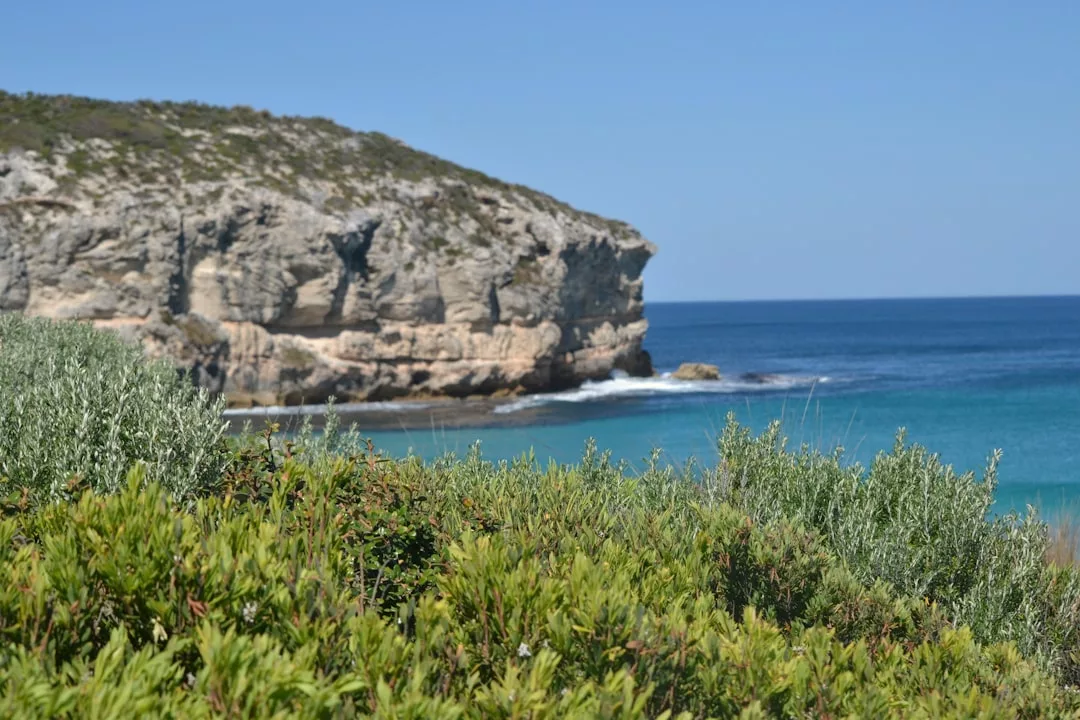 A rocky coastal cliff overlooks a calm blue sea, with green shrubs in the foreground under a clear sky, capturing the essence of luxury in nature’s serene beauty.