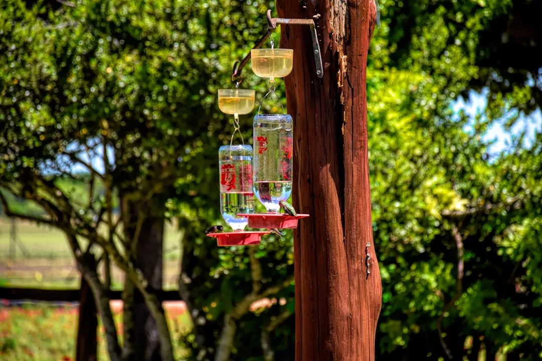 Two luxury hummingbird feeders filled with clear liquid hang from a wooden post outdoors, with trees and lush greenery visible in the blurred background.