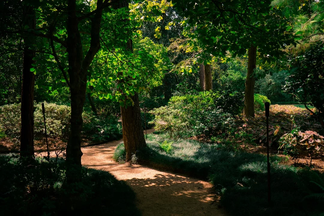 A shaded, winding dirt path curves through a lush green garden with various trees and bushes, offering a glimpse into an outdoor luxury lifestyle under the sunlight.